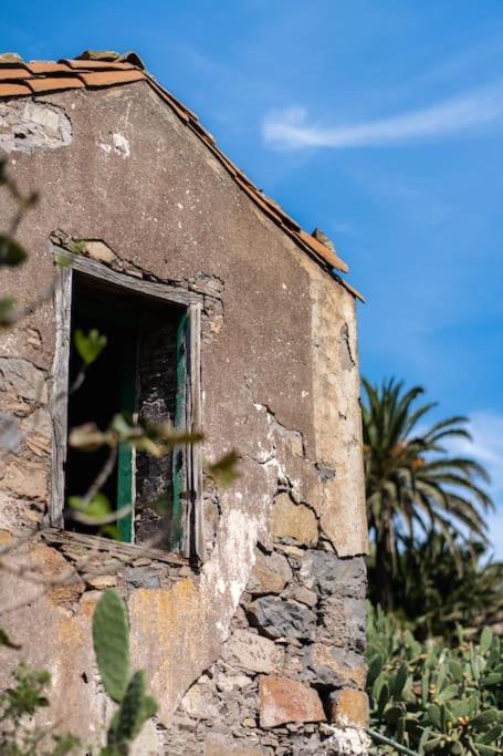 Vivienda Vacacional Rosa Blanca (Adults Only) Arure Exterior photo